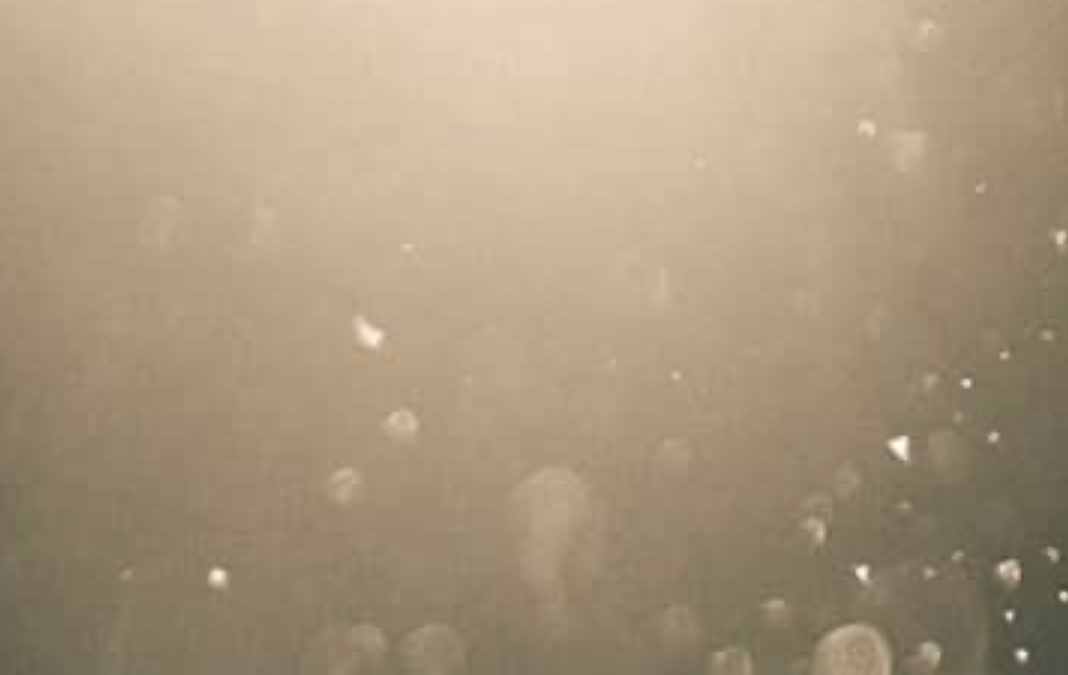 Feng Hsueh’s One Atom Of Dust