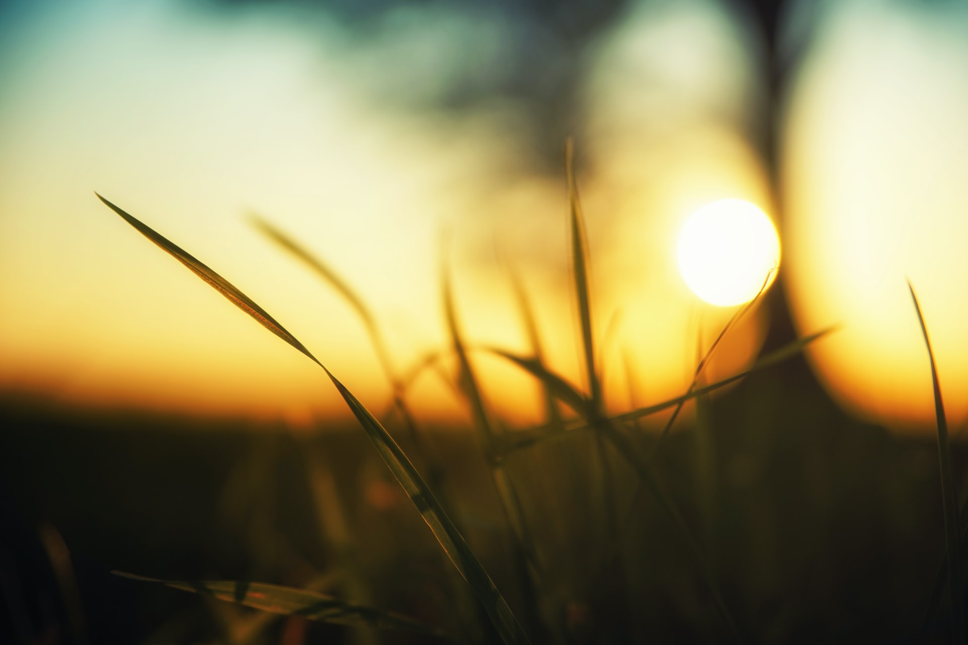johannes-plenio-n7ovRFBtOtI-unsplash